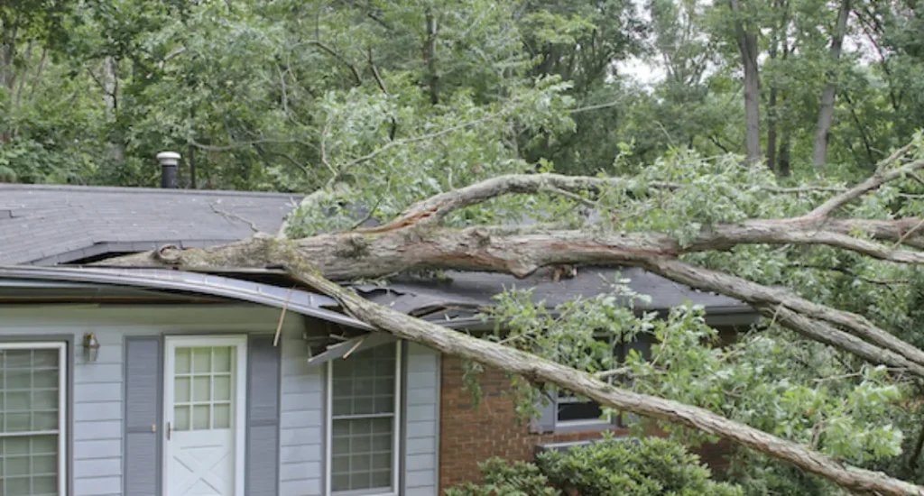 After the Storm What Every Homeowner Should Do First